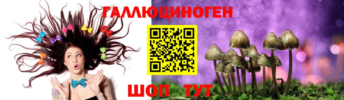 Галлюциногенные грибы мицелий  Вход с VPN  Шатура 